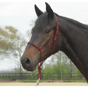 Sport BUSSE Ohlávka provazová Standard BUSSE, burgundy FULL/EXTRA FULL
