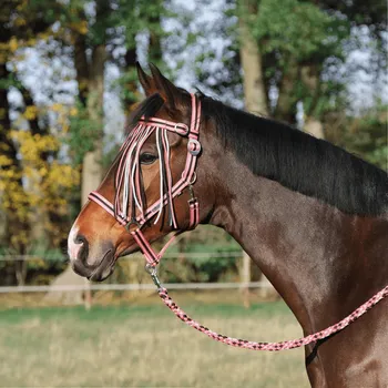 Sport BUSSE Třásně proti hmyzu Tampere BUSSE, coral/grey/black PONY