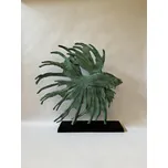 Betta Ryba Bojovnice Pestrá socha