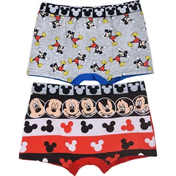 Pánské spodní prádlo Cerda Spodní Prádlo Boxerky vícebarevné velikost univerzální