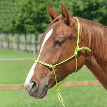 Sport BUSSE Ohlávka provazová Smooth II BUSSE, lime SHETTY