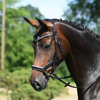 BUSSE Uzdečka Modena BUSSE, black white/crystal COB