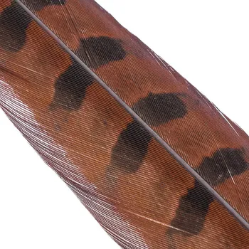 Výtvárné potřeby Hends Ocasní Pero z Bažanta Pheasant Tail Rusty