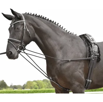 Jezdectví BUSSE Otěže vyvazovací Basic-Kordel BUSSE, černé PONY