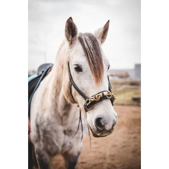 BUSSE Obnosek lonžovací Professional BUSSE, black/brass PONY