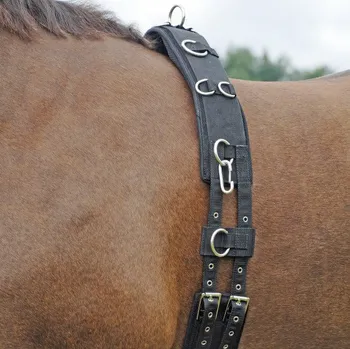 BUSSE Obřišník lonžovací Profi-Soft BUSSE, černý PONY