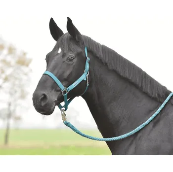 Jezdectví BUSSE Ohlávka Hansa BUSSE, teal PONY