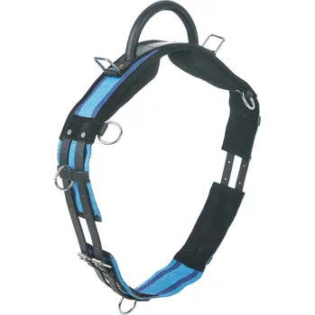 BUSSE Obřišník lonžovací BUSSE, navy/sky blue FULL