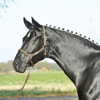 Jezdectví BUSSE Ohlávka Supreme BUSSE, tmavě hnědá EXTRA FULL