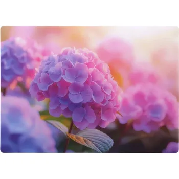 Obraz Podkładka mata na stół dekoracyjna plastová 44,5x32cm vzor 54 květiny hortenzie