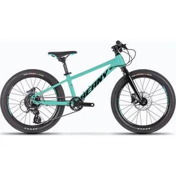 Horské kolo Beany BLASTER XC 24" Tyrkysová