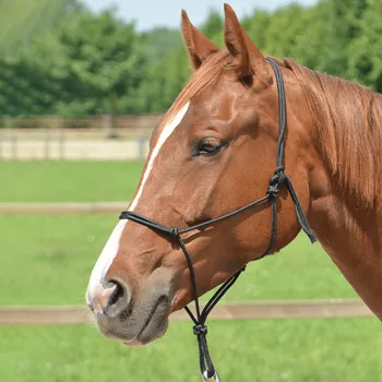 Jezdectví BUSSE Ohlávka provazová Smooth II BUSSE, černá FULL