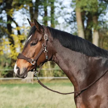 Sport BUSSE Ohlávka Soft Air BUSSE, tmavě hnědá PONY