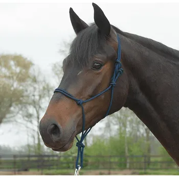 Sport BUSSE Ohlávka provazová Standard BUSSE, navy PONY/COB