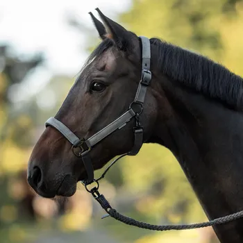 Jezdectví BUSSE Ohlávka Juina BUSSE, grey COB