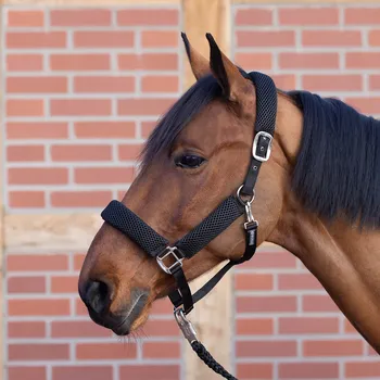 Jezdectví BUSSE Ohlávka 3D Air Effect Pro BUSSE, černá PONY