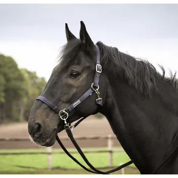 Jezdectví BUSSE Ohlávka Riding BUSSE, navy PONY