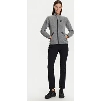 Dámská mikina Haglöfs Fleecová mikina Risberg 607384 Šedá Active Fit M