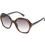 Skechers Ženy Geometric Tortoise sluneční brýle v Hnědý