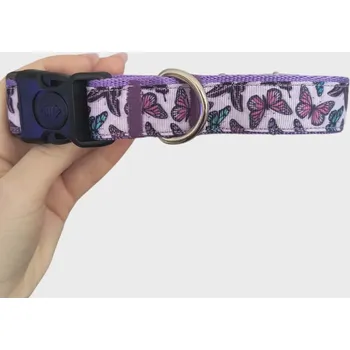 Obojek pro psa Obojek pro psa s blokací velikost