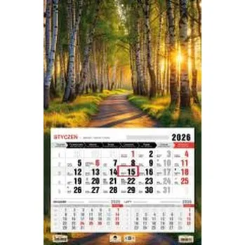 Kalendář Kalendarz 2026 jednodzielny 3XL las
