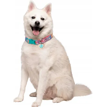 Obojek pro psa SQUISHMALLOWS Squish Squad obojek pro psa nastavitelný s přívěskem velikost L