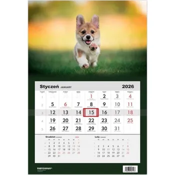 Kalendář Kalendář 2026 Jednodílný Pes Corgi N522-26-02 Helma