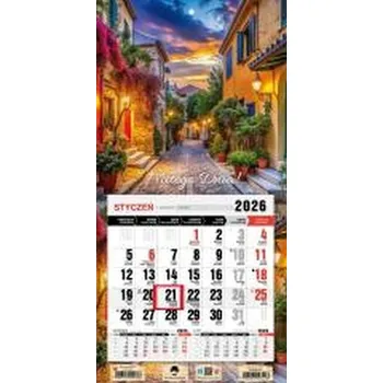 Kalendář Kalendarz 2026 jednodzielny mini romantico