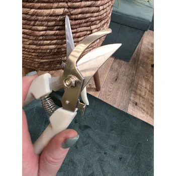 Nůžky zahradnické s krémovou rukojetí, zahnutá čepel