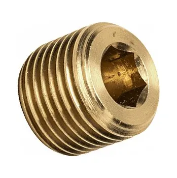 Fitinka MOSAZ zátka (imbus) pro pneumatiku R2"vně Legris 0205 48 00