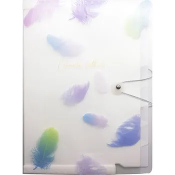 Color Box A4 na dokumenty, 8 přihrádek s gumou