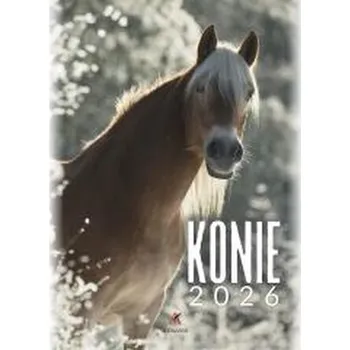 Kalendář Kalendarz 2026 wieloplanszowy B4 Konie