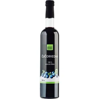 Wellberry,s.r.o. Šťáva borůvková 100% BIO 500ml Wellberry 1732