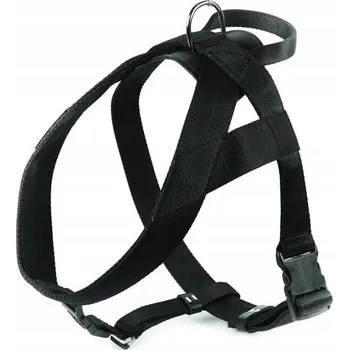 Postroj pro psa Dingo Postroj s popruhem a úchytem 4 cm černý
