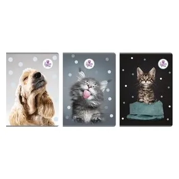 Dětské zboží Zeszyt A4/60k Kratka The Sweet Pets (pl, 2025, Beniamin)