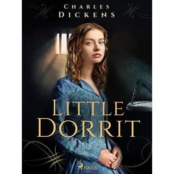 Kniha Little Dorrit