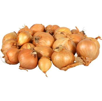 Semeno Cibule šalotka GOLDEN GOURMET 10kg 22-47mm