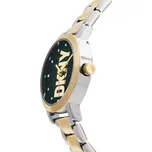 Hodinky DKNY Soho NY6676 Stříbrná OS
