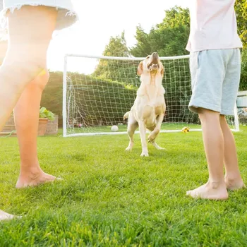 Semeno Trávník zátěžový Premium Profi Line - semena Kiepenkerl - směs - 1&nbsp;kg