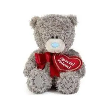 plyšák Miś - Special friend z kokardą i zawieszką 11cm