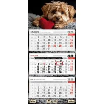 Kalendář Kalendarz 2026 trójdzielny płaska główka piesek