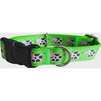 Obojek pro psa Obojek pro psa s pojistkou