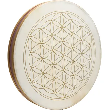 Meinl Sonic Energy WD22FOL + prodloužená záruka 3 roky