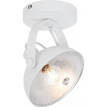 IP kamera Stropní reflektor kulatý QAZQA bílý