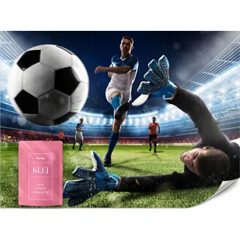 Fototapeta FOTOTAPETA PRO CHLAPCE STADION FOTBAL FOTBALISTÉ SPORT 3D EFEKT 250x175