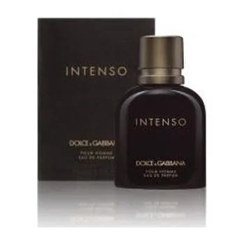 Dolce Gabbana Pour Homme Intenso Parfémová voda 125 ml pro muže