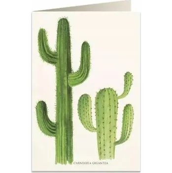 Obraz Přání B6 + obálka 5986 Kaktusy