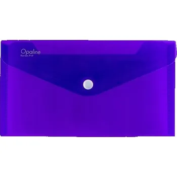 Pořadač/Organizér DL Karton P+P