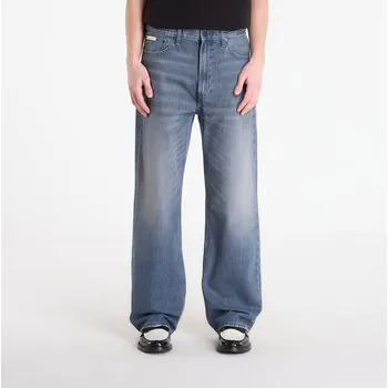Pánské džíny Džíny Calvin Klein Jeans Baggy Blue Ash Stone Jeans Gray W34/L32