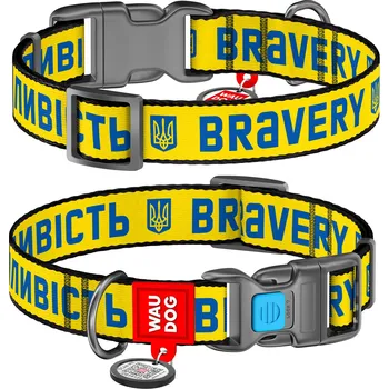 Obojek pro psa Obojek pro psa, vzor Odvaha, velikost M, 28-40 cm, 20 mm